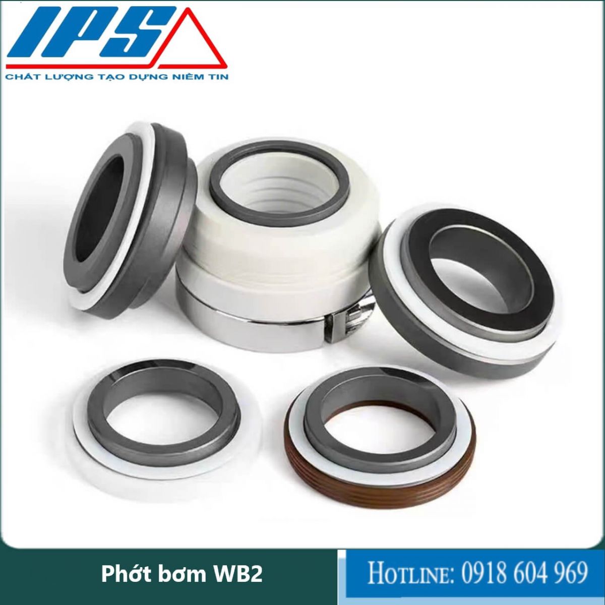 Phớt bơm WB2-13(1)